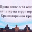 Краевое предпосевное совещание озимых колосовых Краснодарского края 22.09.2025 год ст. Каневская - Администрация МО Калининский р-н